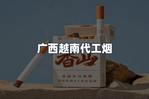 广西越南代工烟